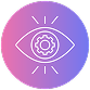 Vision Icon